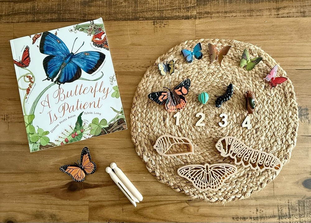 Butterfly Learning Set Nature Learning Montessori Education