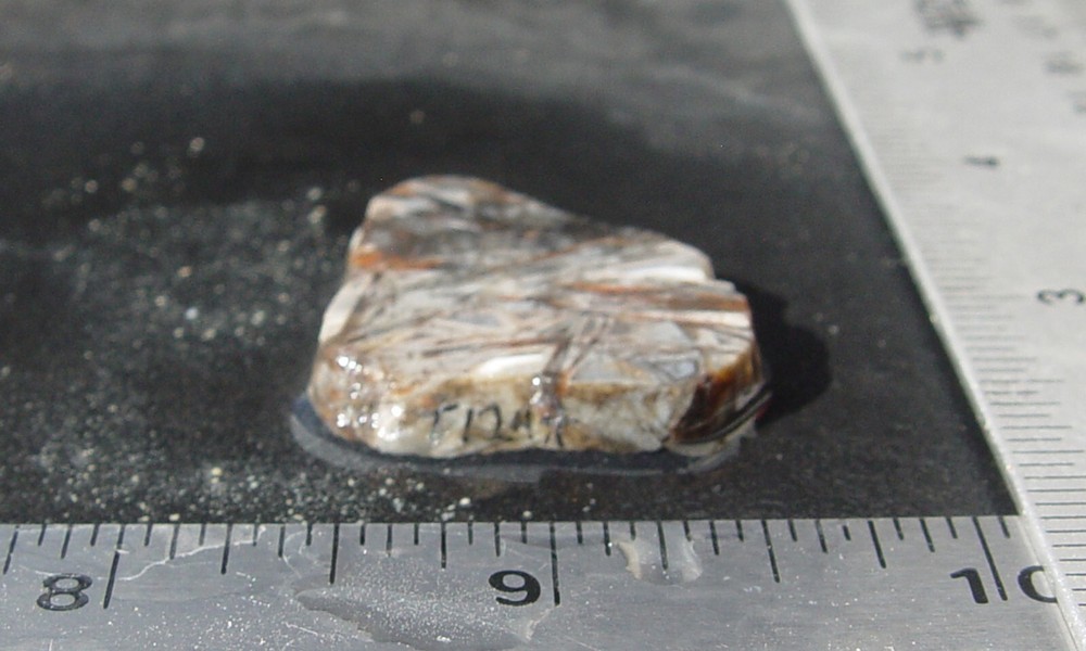 Stick Agate Lapidary Slab T1244