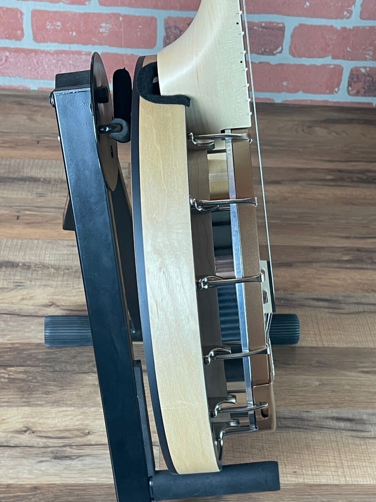 Deering Goodtime Special Deco 5-string Banjo