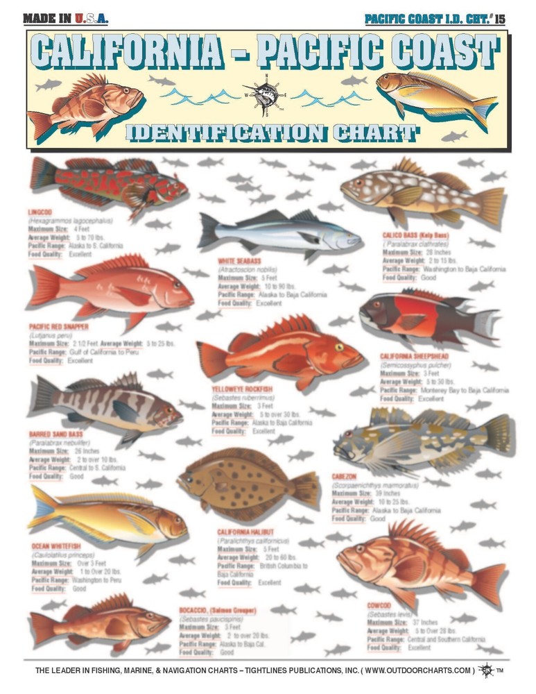 Pacific Coast Fish Identification #15 - Waterproof Quick Reference