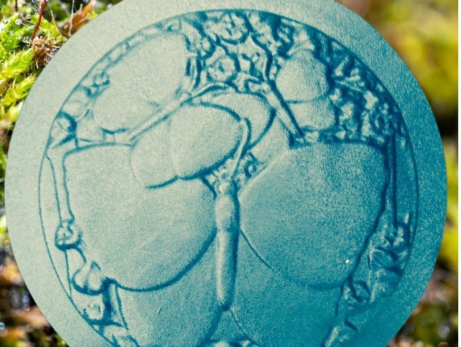 Concrete plaster butterfly stepping stone mold 12" x 1" thick
