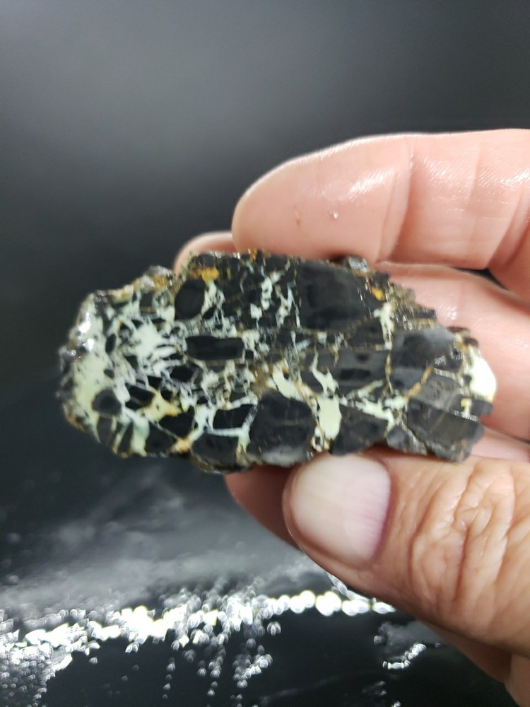 Nevada Gecko Variscite Rough