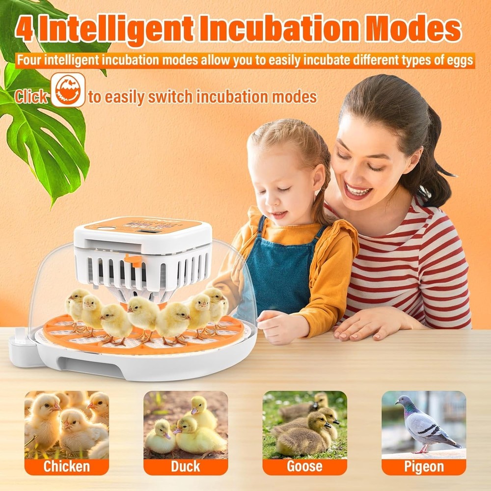 12 Egg Incubator with Automatic Egg Turning and Humidity Control