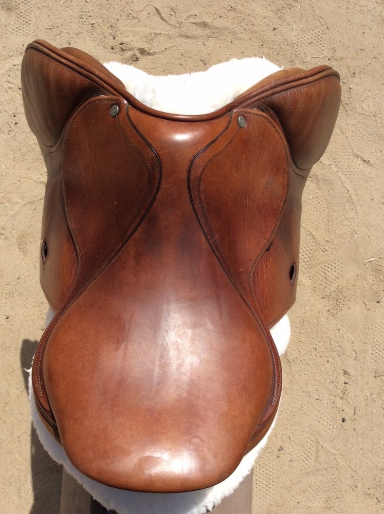 Antares Jumping Saddle, 16.5"