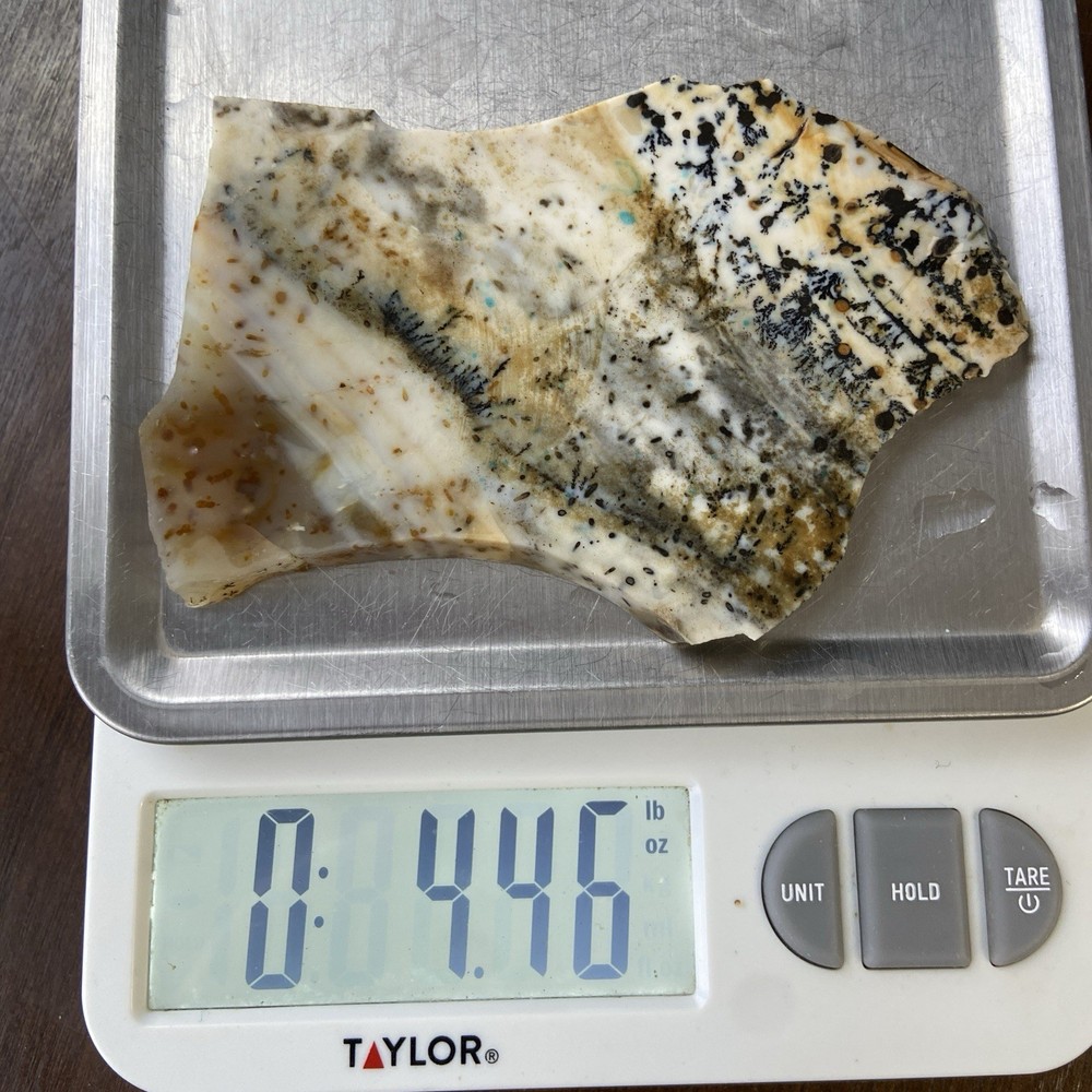 Dendrite Opal Rough Slab Unique Patterns 4.46 Oz