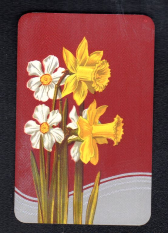 Vintage Swap/Playing  Card - Daffodils (HERRINGBONE)