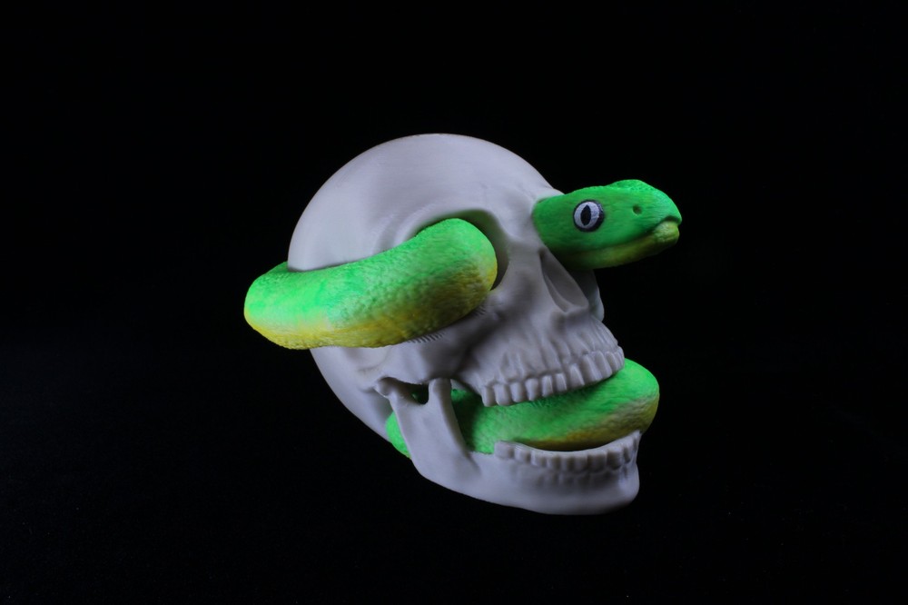 A 3D Printed Skull with Snake Crawling Through It (Hand Painted)