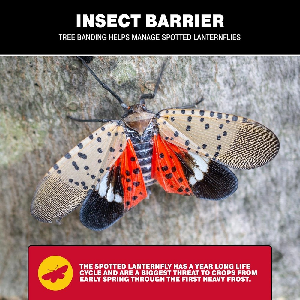 Catchmaster Tree Banding Insect Barrier DIY Kit