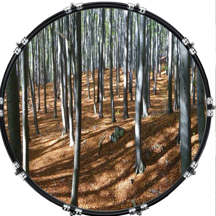 20" Custom Bass Kick Drum Front Head Graphic Graphical Trees