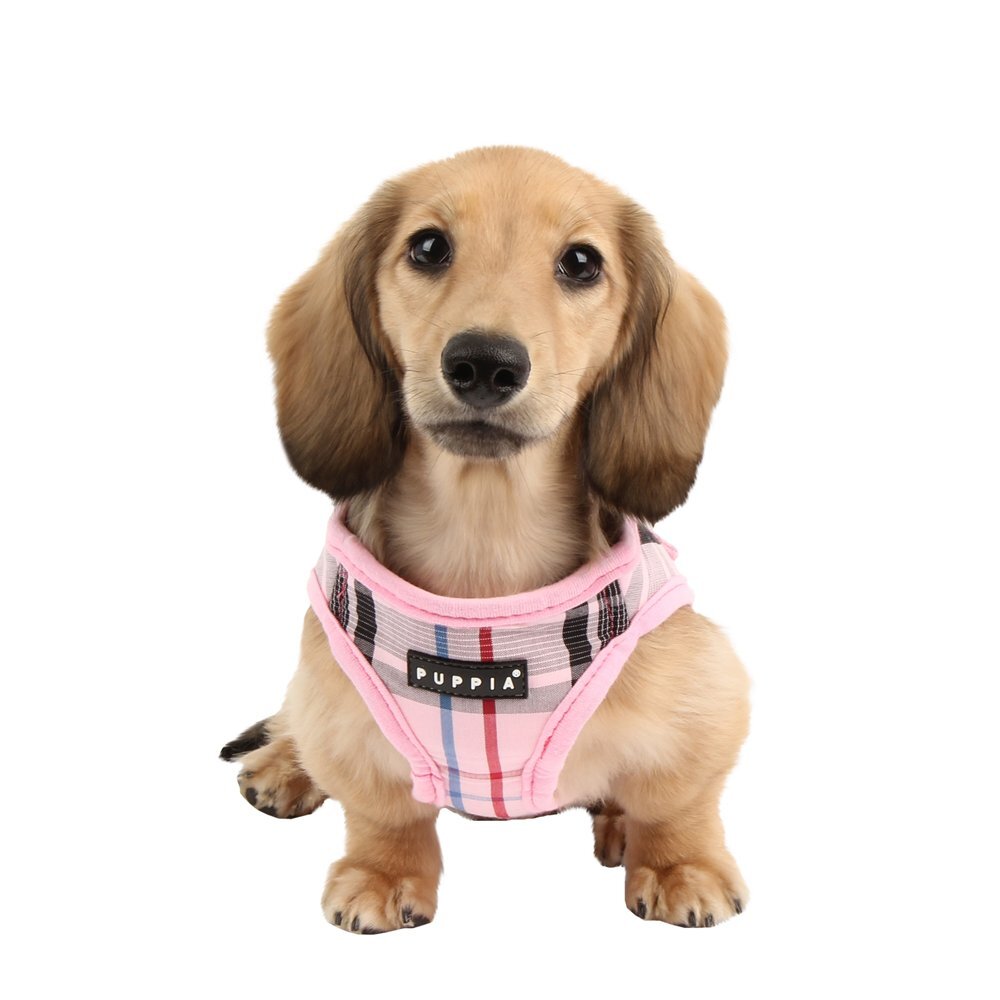 Authentic Junior Harness B Large Pink