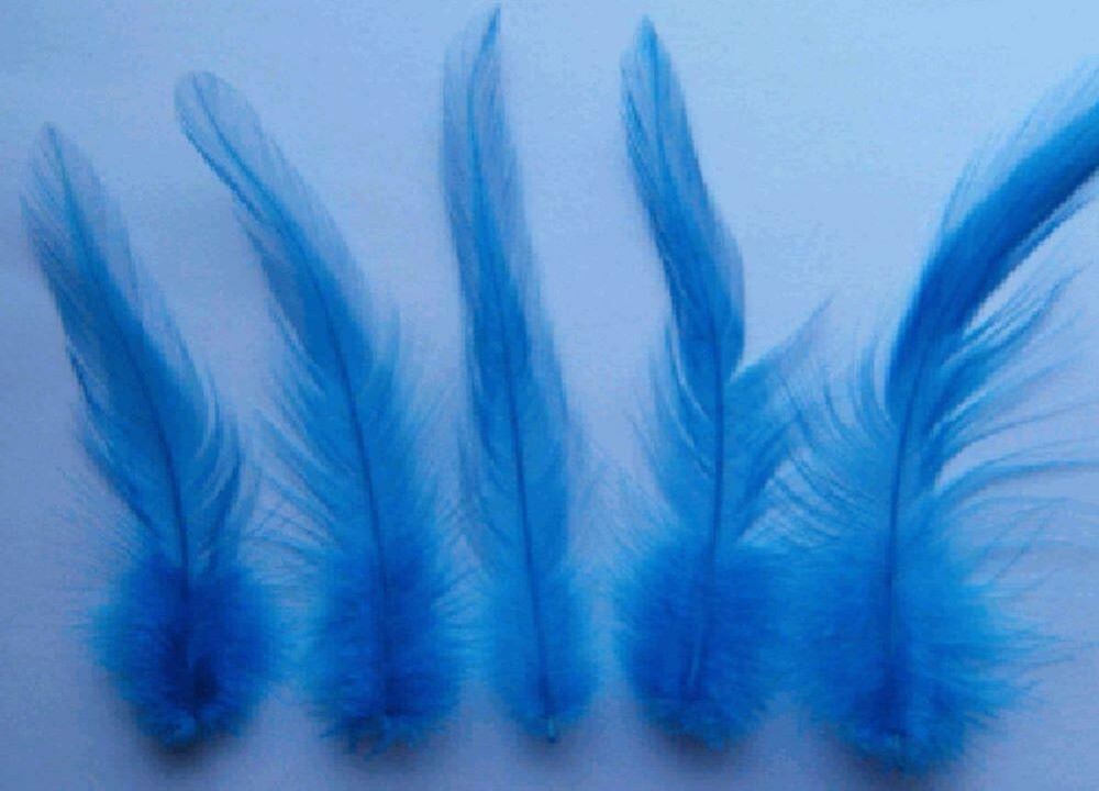 Rooster Saddle Hackle Feathers - Loose - Turquoise - 150 Pcs.
