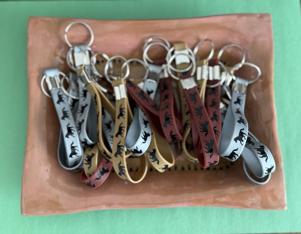 Lucky Equine mystery Scoop