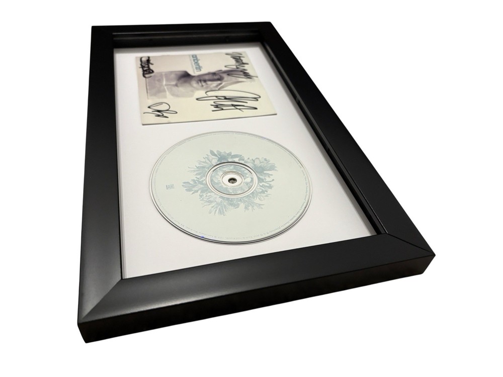 ANBERLIN SIGNED AUTOGRAPH NEVER TAKE FRIENDSHIP PERSONAL FRAMED CD JSA CERT COA