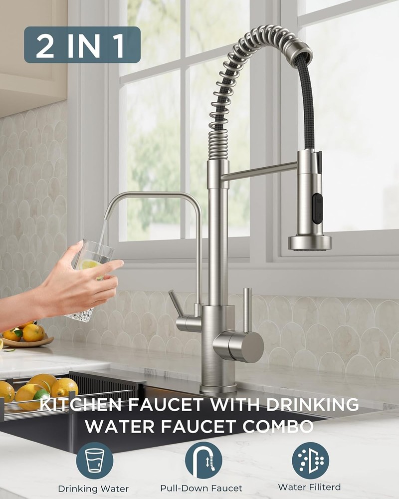 Brushed Nickel Kitchen Faucet with Water Filter