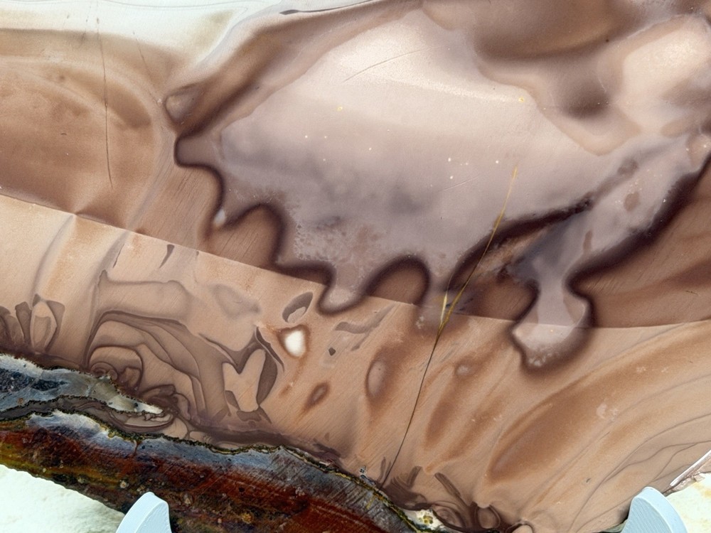 Willow Creek Jasper Slab, Lot#332