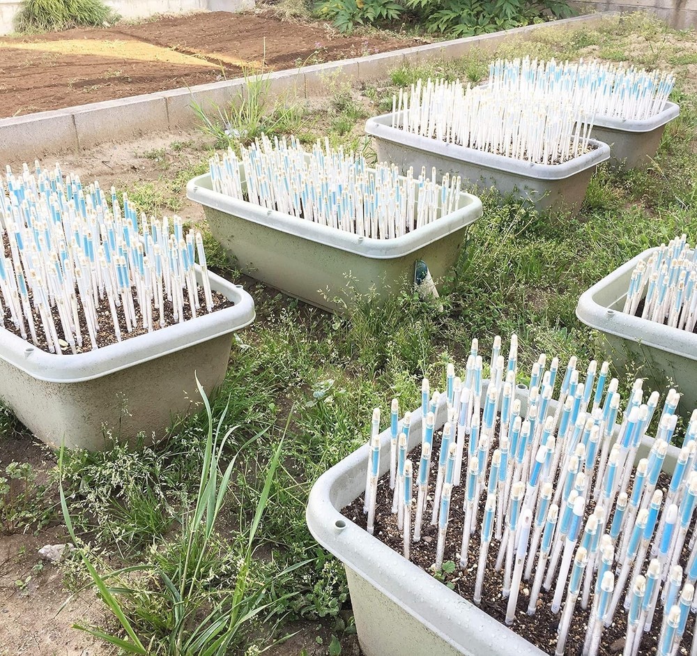 Aquameter Leave-in Soil Moisture Meter - 5 Pack