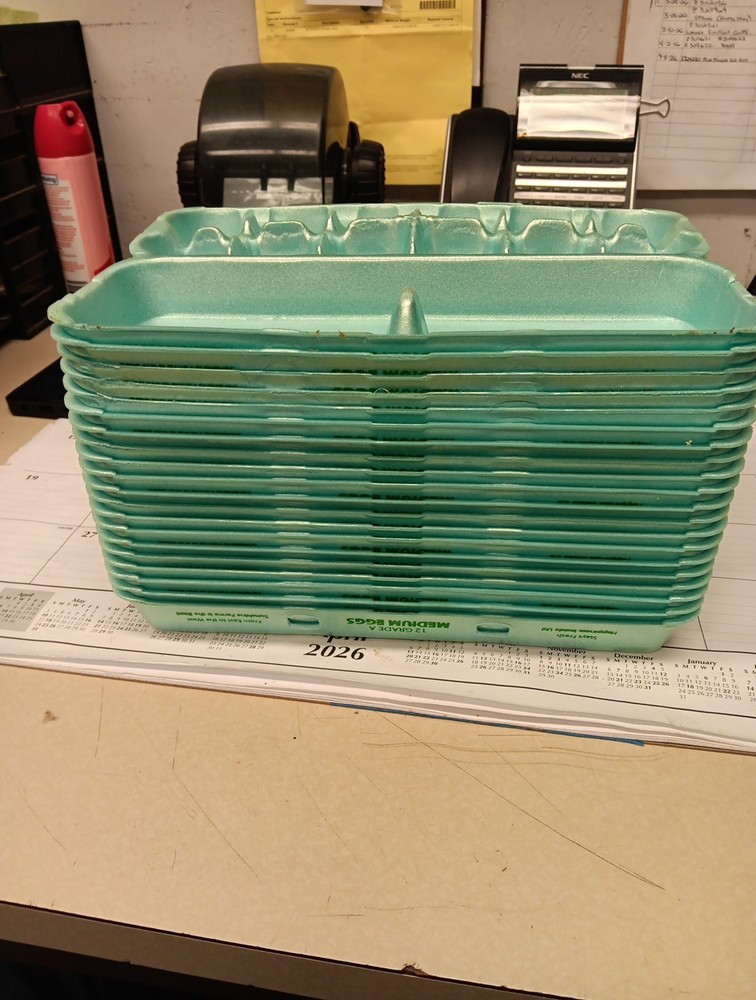 Styrofoam Bulk Egg Cartons (50 pack)