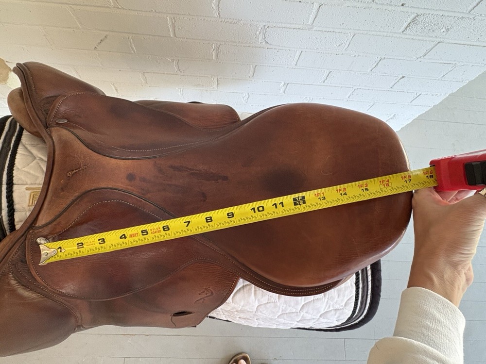 Antares jump saddle 17.5