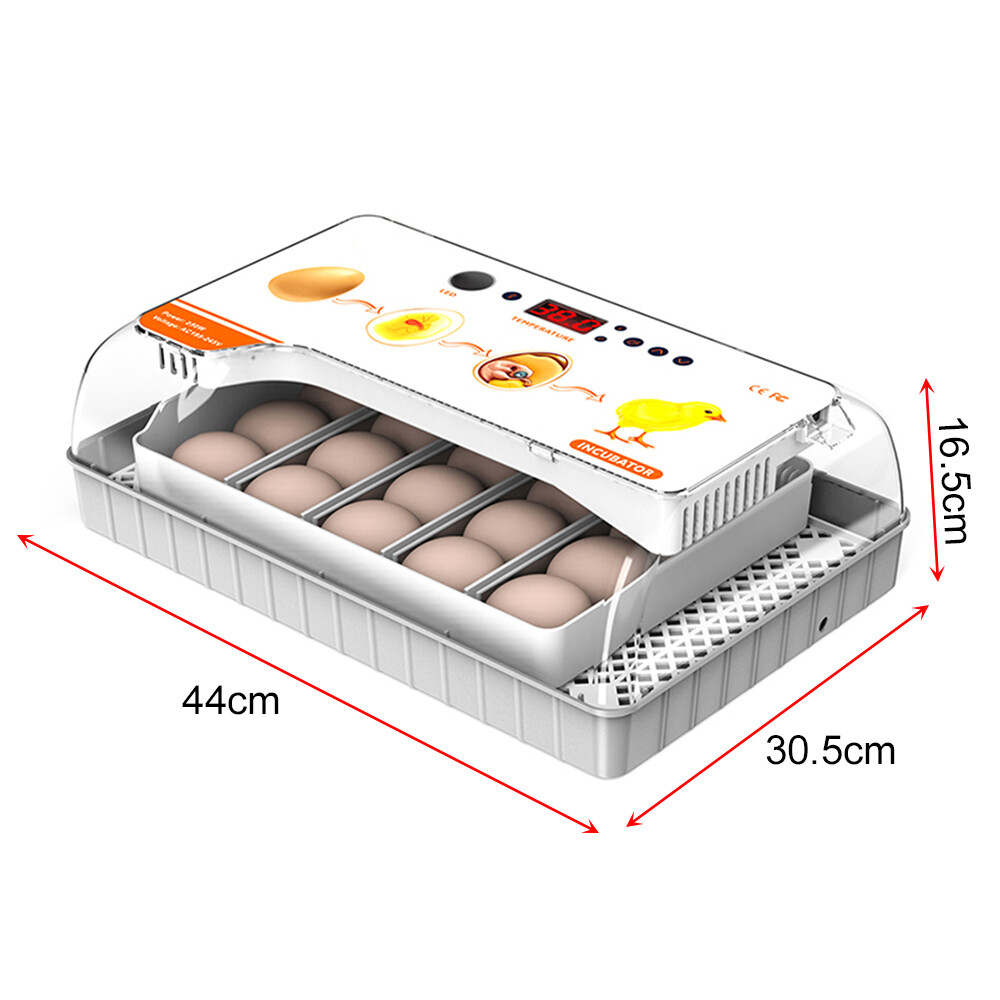 20 Egg Automatic Egg Incubator - Digital Turning Hatching Machine