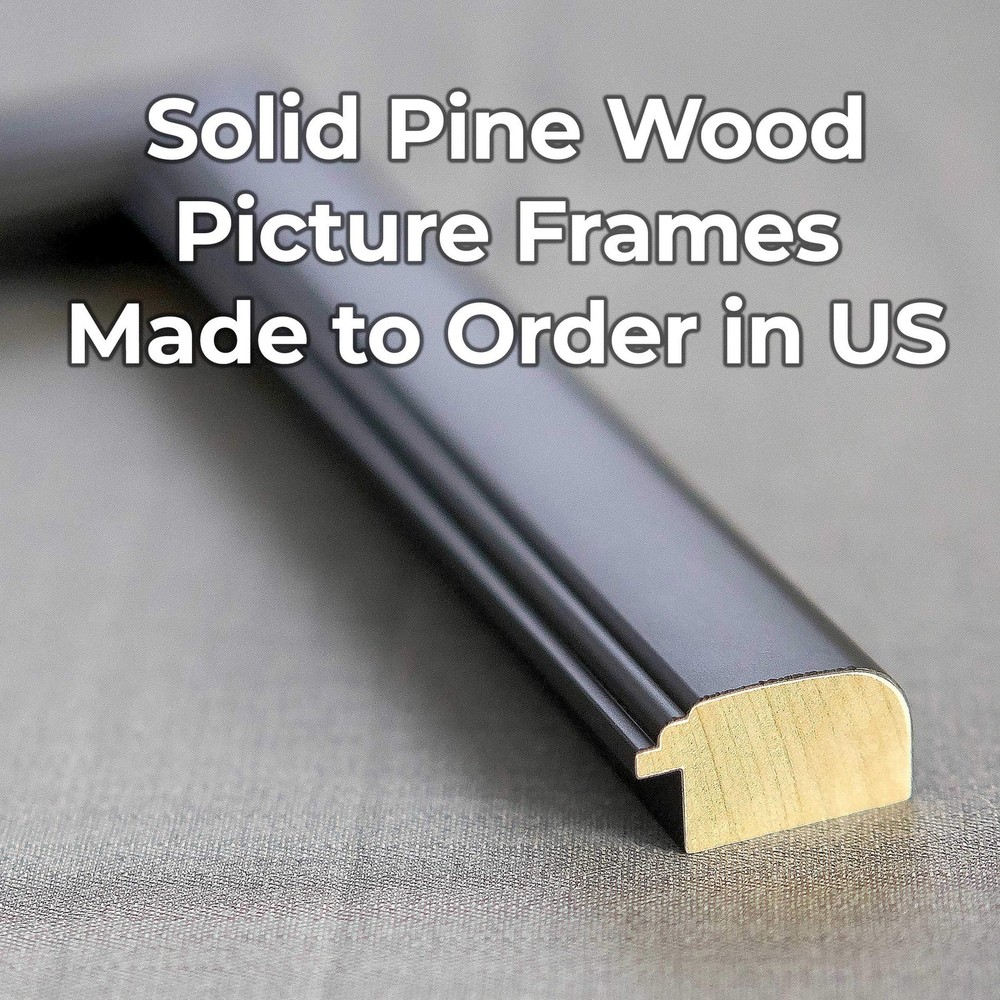 27x9 Frame Black Solid Wood Picture Frame - Complete Modern Photo Frame Includes