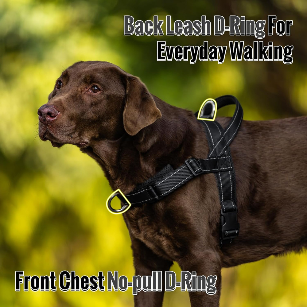 Arblina No Pull Dog Harness with Soft Mesh Padded, Fully Adjustable Walking Harn