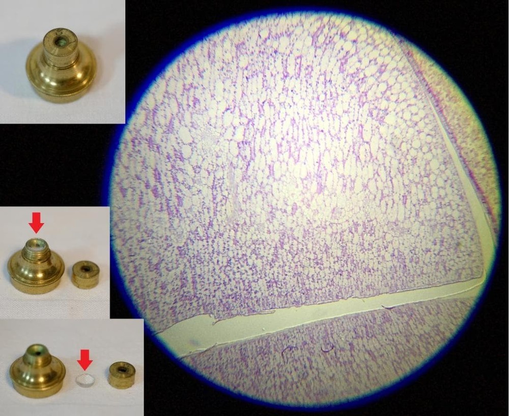 microscope antique John Richardson's cuff microscope