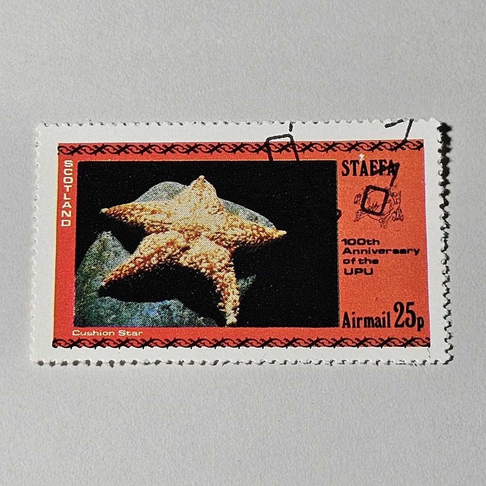 CUSHION STARFISH STAMP27 STAMP SCOTLAND