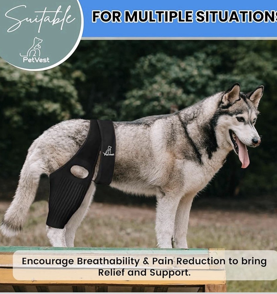 Dog Knee Brace,Adjustable Strap Hind Leg Support ACL/CCL&Ligament- Medium&Large