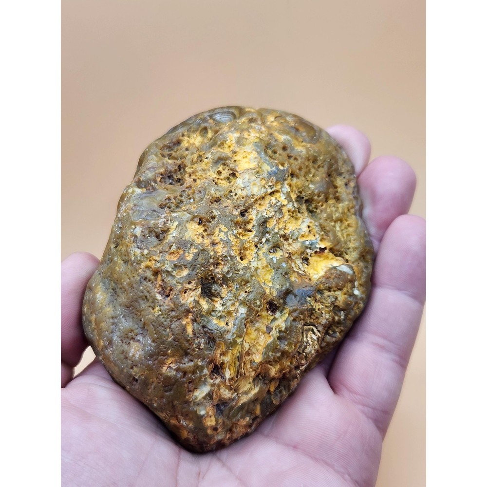 Island Agate Polished Half Nodule