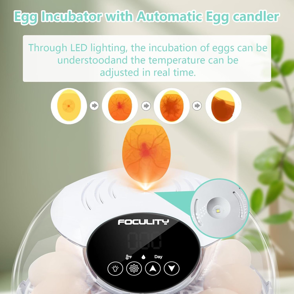 Egg Incubator for Hatching Chicks, Holds 12 Eggs, Automatic Egg Turner with Temp