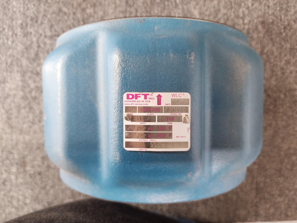 DFT 6" Class 150/300 RF WLC Wafer Check Valve