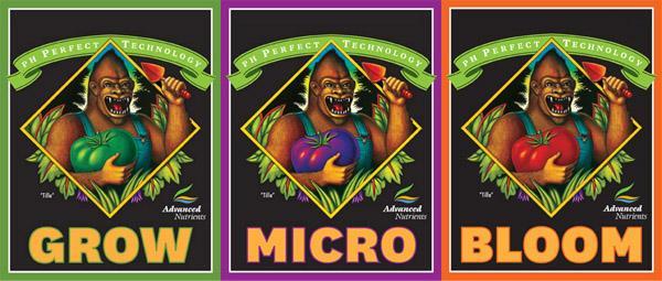 Advanced Nutrients Grow. Micro, Bloom Bundle pH Perfect Base GMB