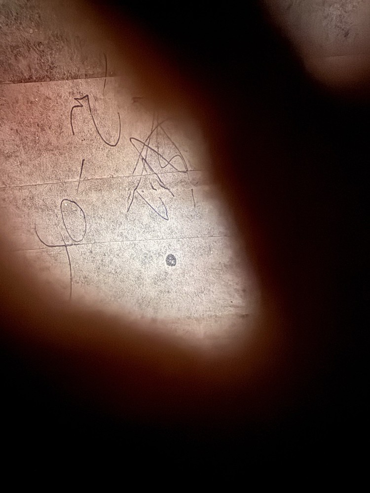 7-Course Lute — Professional Quality Build — Unknown Maker