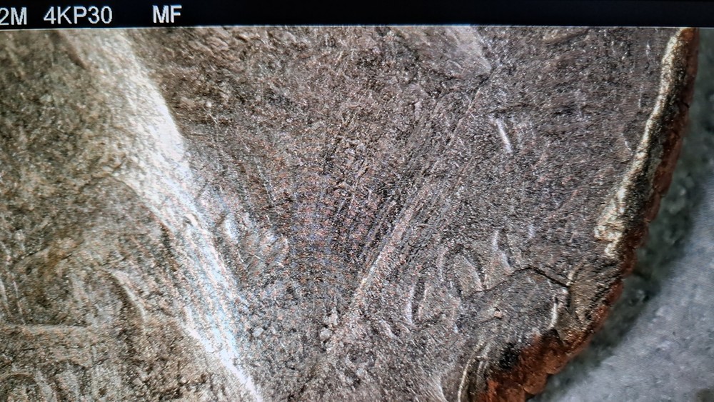 STRIKE ERROR? EXTRA WEIGHT?WEAK FEATURES? ALL MINT ERRORS? 2011 D US DIME #603