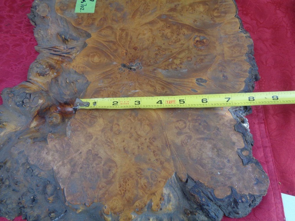 Burlwood Tree Slice #7