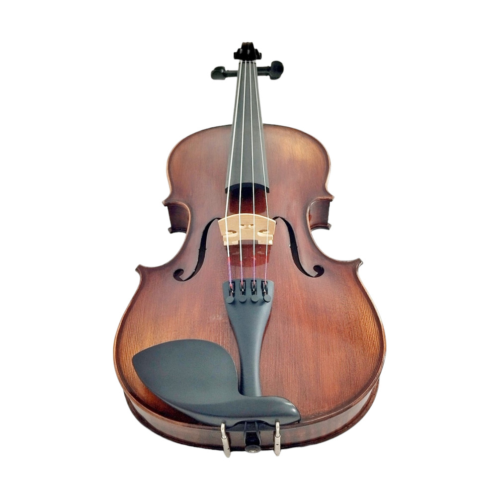 Enraptured Melodies: The AA80 Symphony Viola