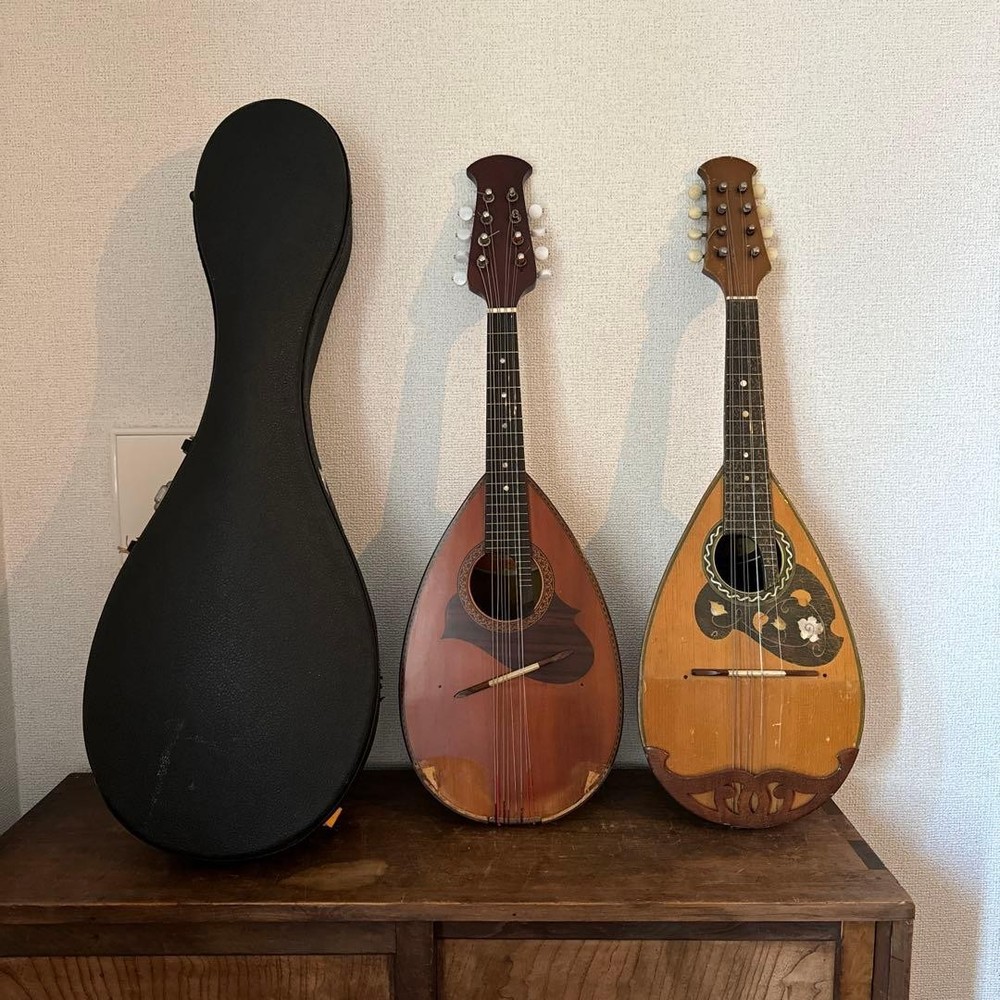 Set of 2 mandolins with decorative design