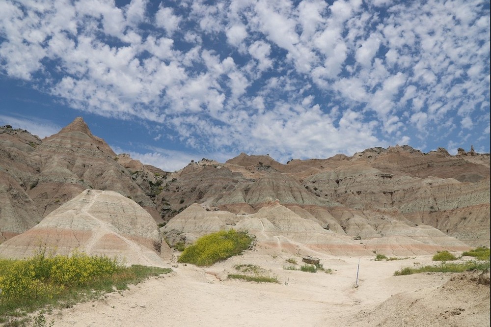 Horse Rhythm bead bells - Badlands