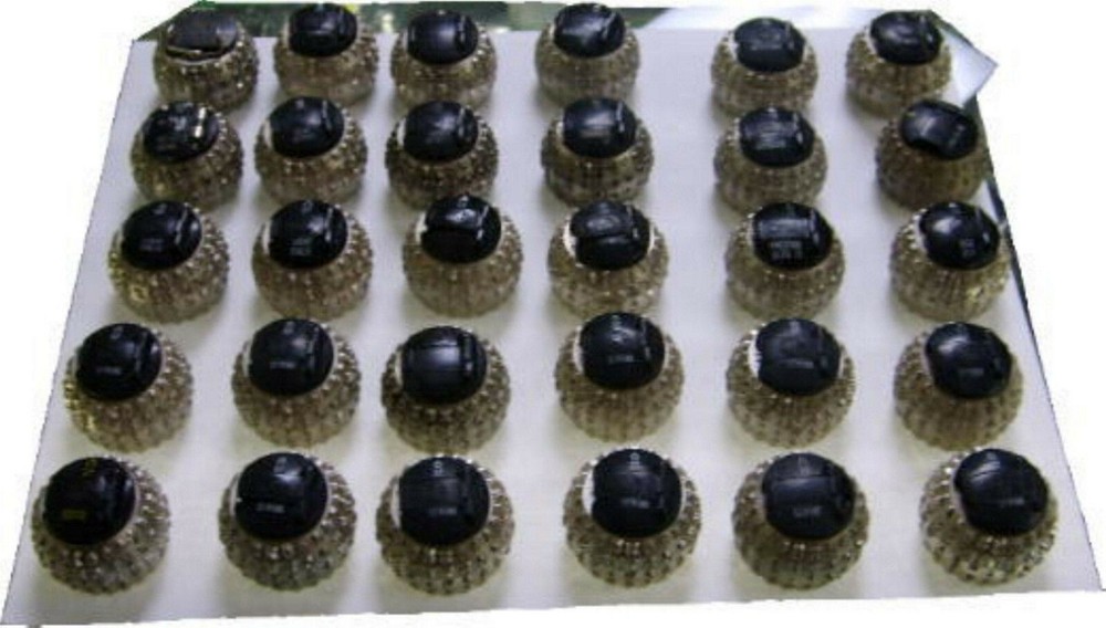 IBM Selectric Typewriter Font Balls - Assorted - Sold Individually