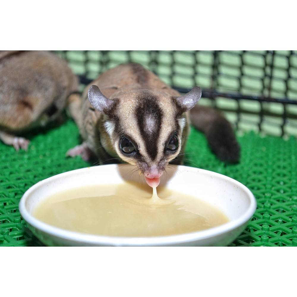 Gliderade Nectar (4 oz.) - Vitamin-Enriched Supplement - For Sugar Gliders
