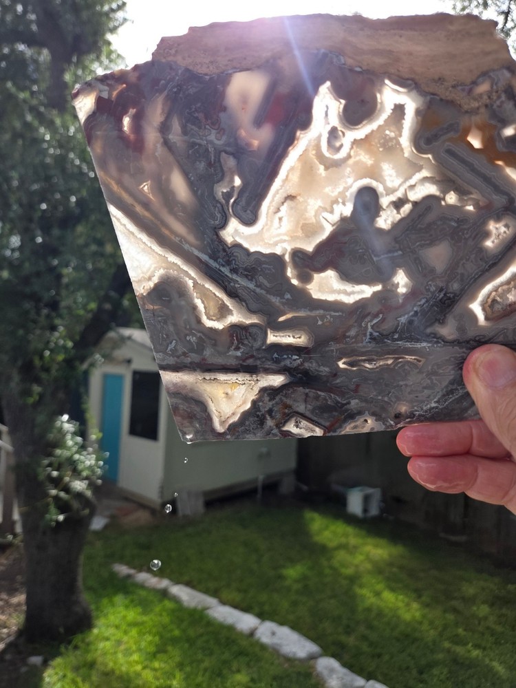 Crazy Lace Agate Slab
