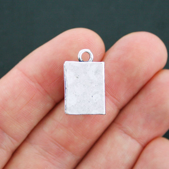 2 Textbook Antique Silver Tone Charms - SC3781