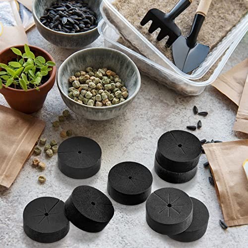 240 Pcs Foam Clone Collars 2" Inserts for Hydroponic Cloning Machines, Reusable
