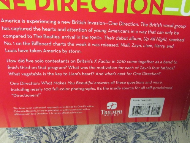 2012 One Direction: What Makes You Beautiful Book