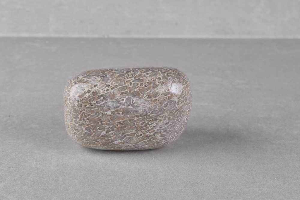Dinosaur Bone Polished from Morocco 4.2 cm # 19756