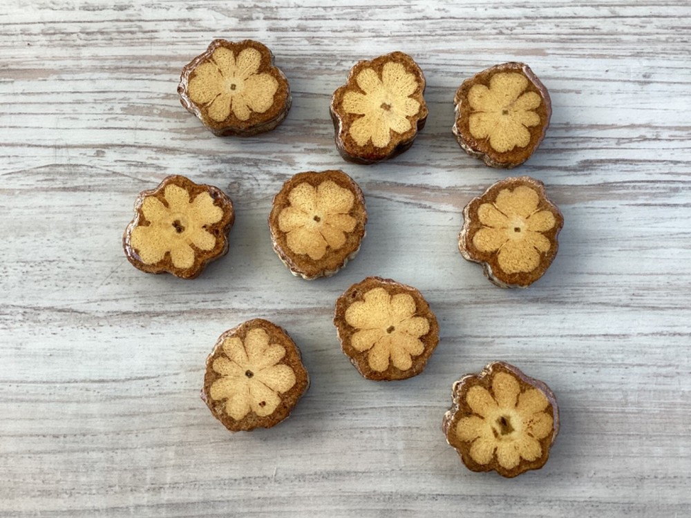 10 Pcs Ayahuasca Vine Slice 2.7cm