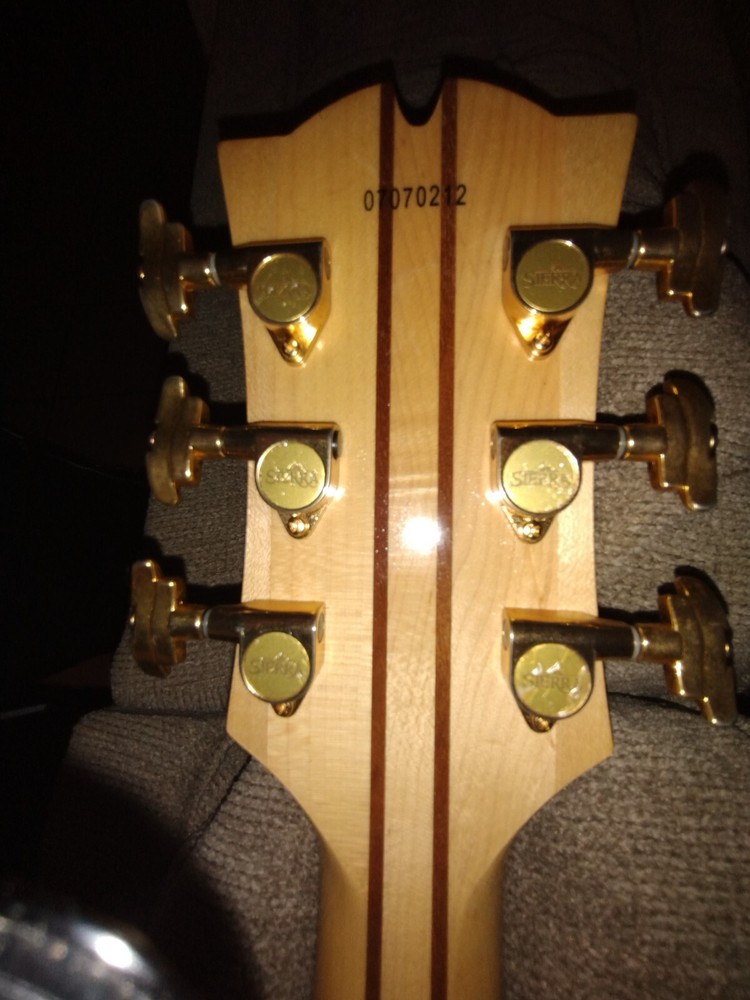 GUITAR!!!!! GREAT SHAPE sierra SJ88CE Wr