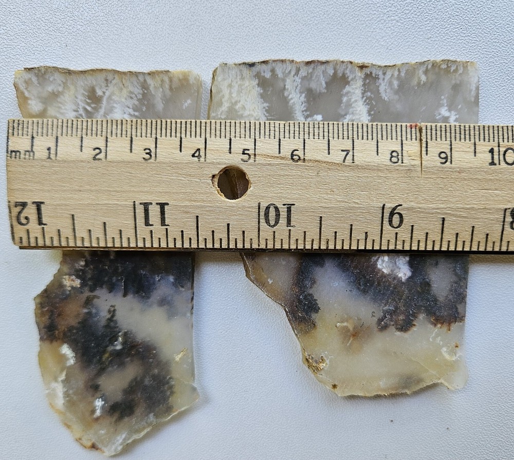 Nice Graveyard Plume Agate Lapidary Slabs 76 Grams