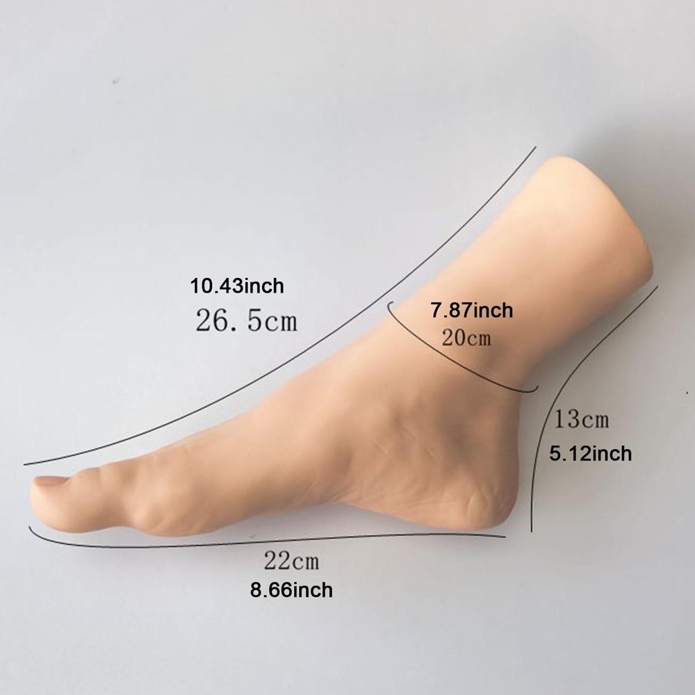 Feet Model Mannequin Foot Realistic