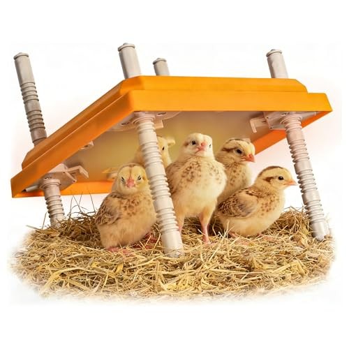 Brooder Heater for Chicks - Chick Brooder Plate with Adjustable Temperature,